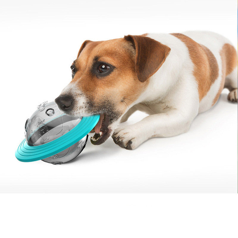 Missing Food Educational Toys